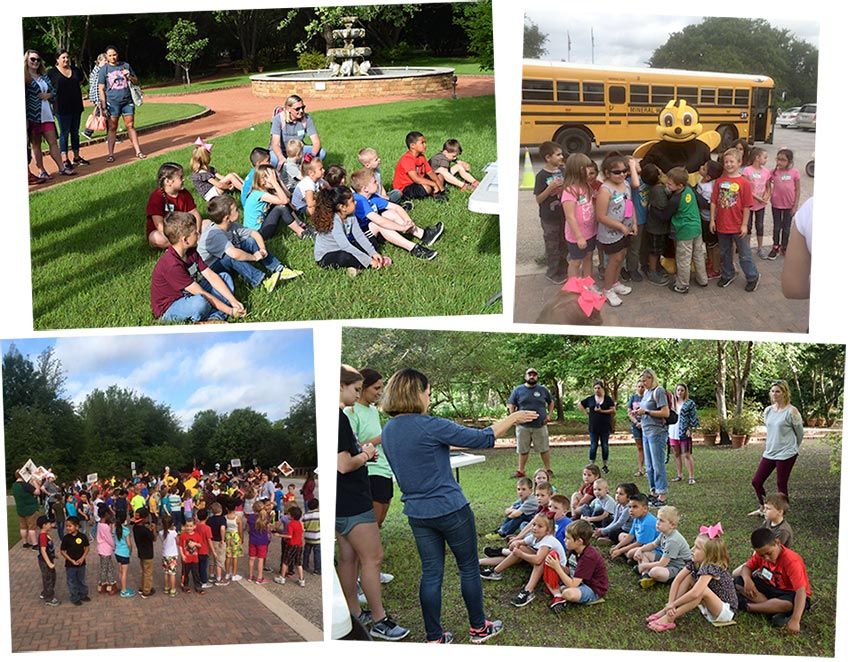 First Graders at Clark Garden Pollinator Power