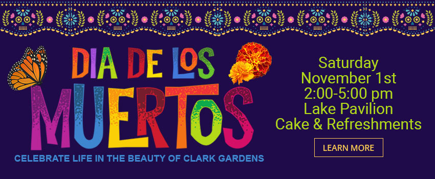 Dia de los Muertos Celebration