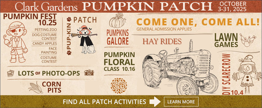 Clark Gardens Pumpkin Patch