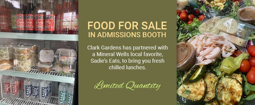 Sadie's Eats Lunches for Sale