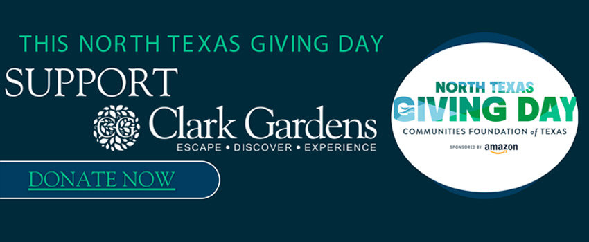 Support Clark Gardens on North Texas Giving Day