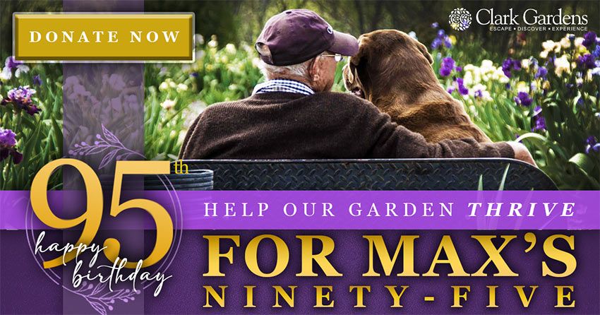 Donate for Max's 95th Birthday