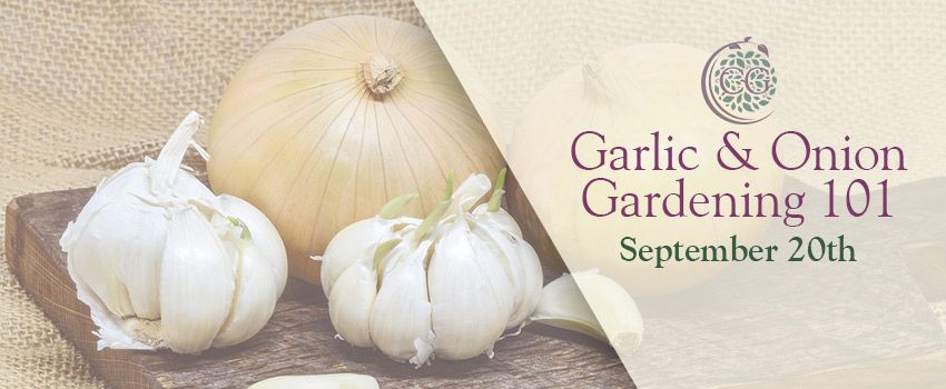 2024 sept garlic onion banner