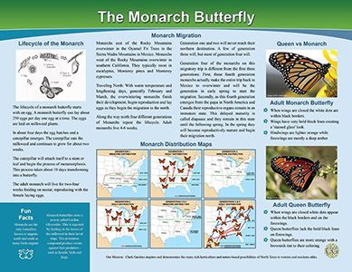 Pollinator Walk Sign - about the Monarch butterfly