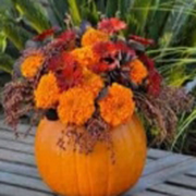 pumpkin floral arrangement class - flowers in pumpkin