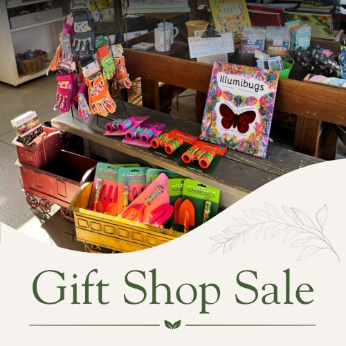 2026 gift shop sale