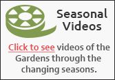 Videos of the Seasons
